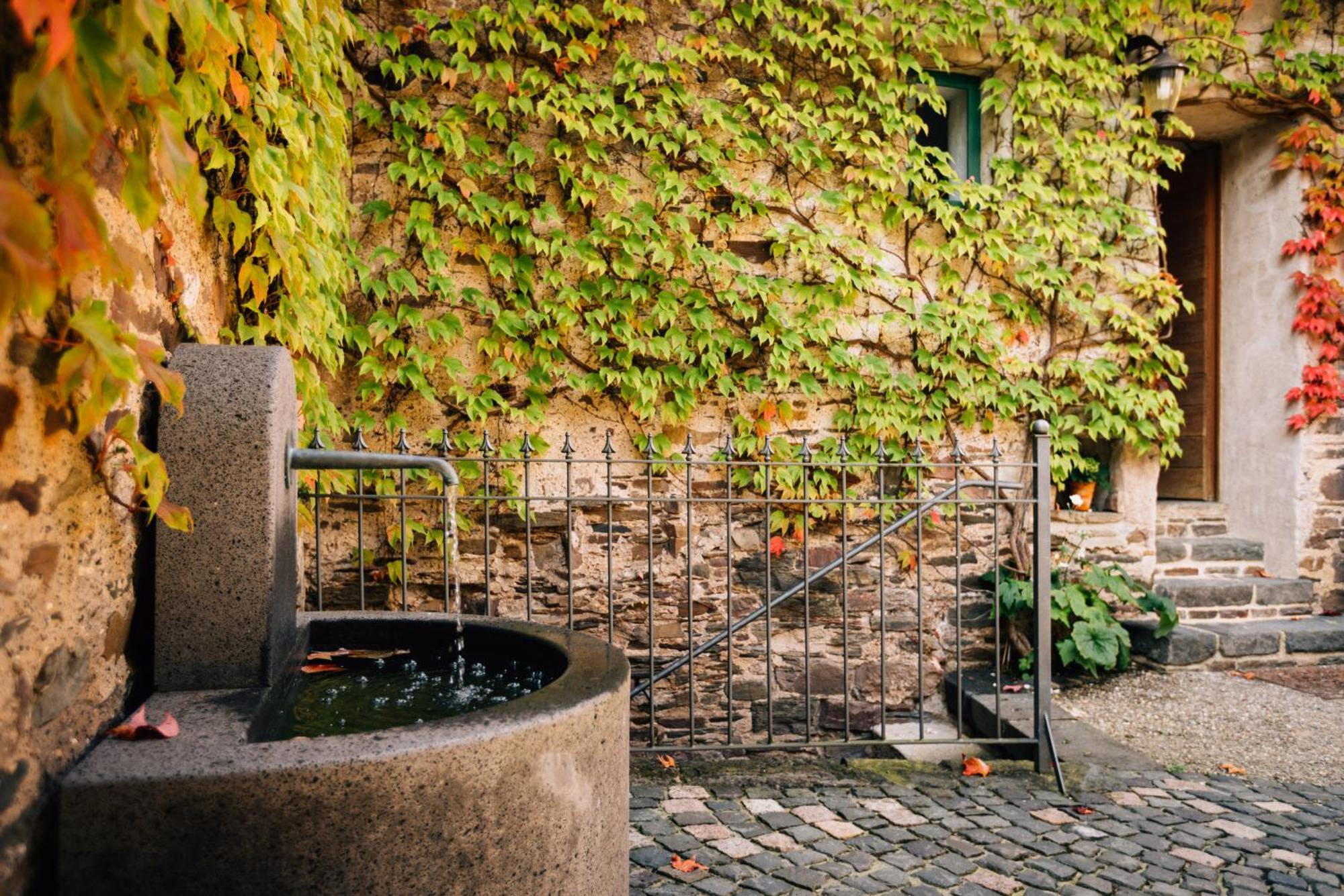 Ferienhaus Senhalser Höfe