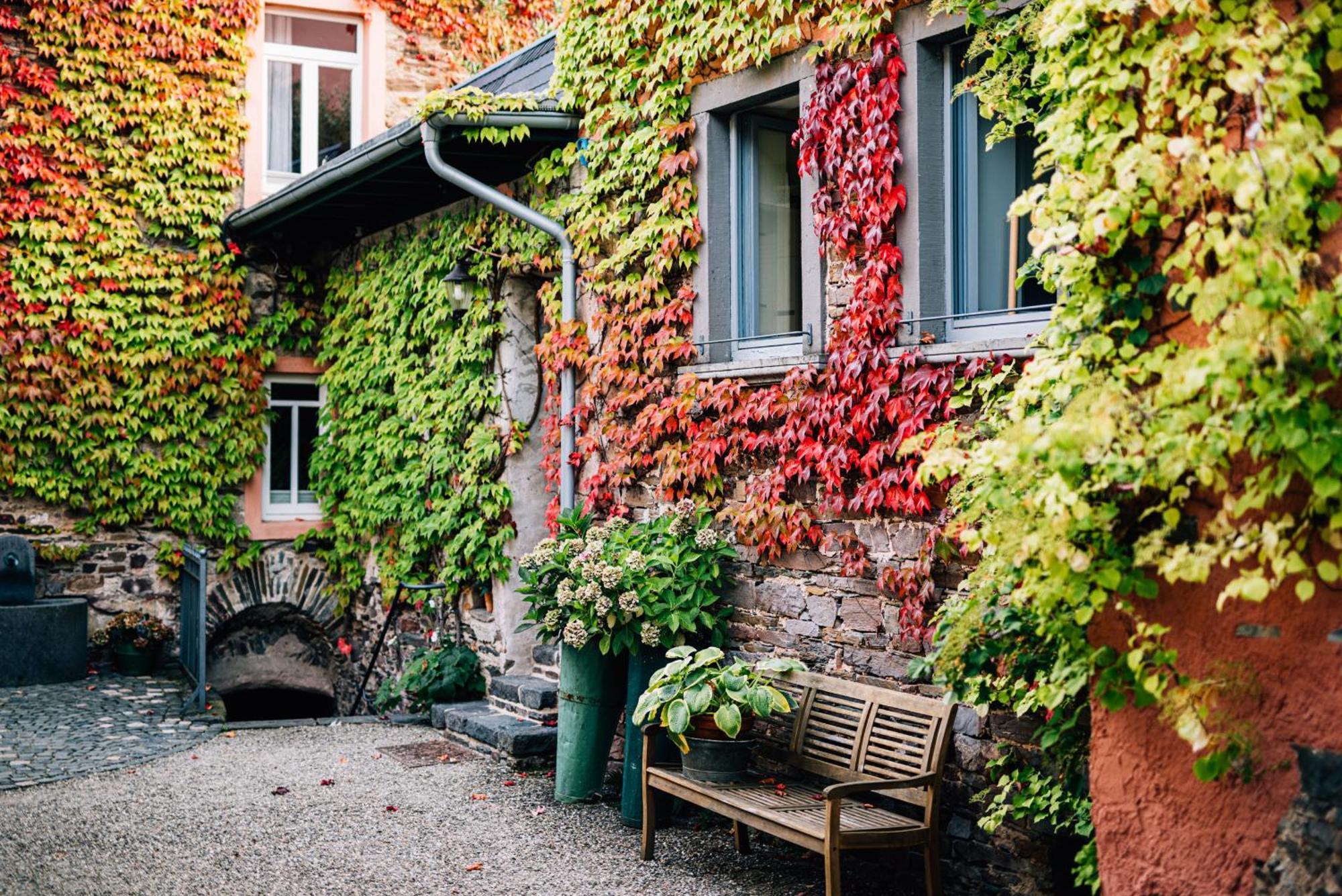 Senhalser Höfe Ferienhaus *